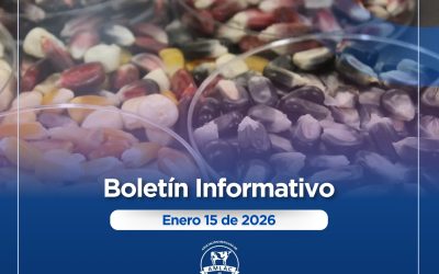 Nota informativa 15 de enero de 2026