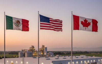 Revisión del T-MEC ¿Qué sucederá con el tema agroalimentario?
