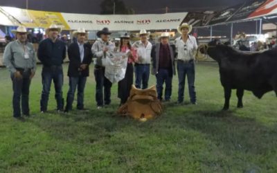 Solicitan a engordadores priorizar ganado local