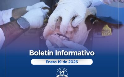 Nota informativa 19 de enero de 2026