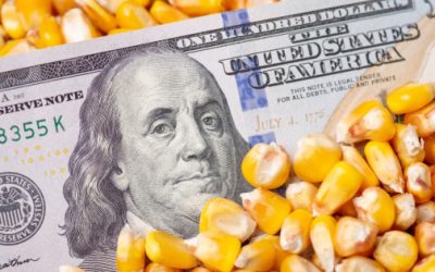 Importaciones de granos y oleaginosas alcanzan récord histórico en 2025