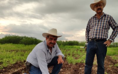 Suma agro retos ante revisión del Tratado