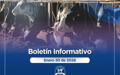 Nota informativa 20 de enero de 2026