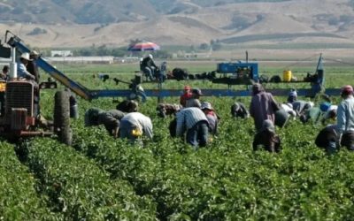 Entregan a Berdegué estudios sobre la situación laboral en San Quintín