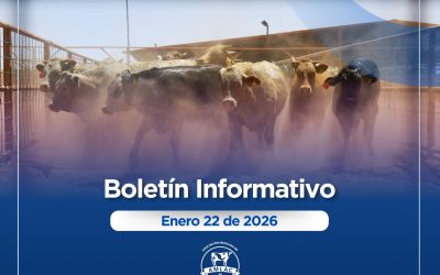 Nota informativa 22 de enero de 2026