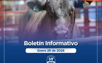 Nota informativa 26 de enero de 2026