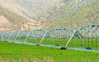 Líderes agrícolas alertan caída de hasta 25% en producción por ley de aguas