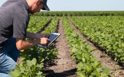 El IICA frente a los grandes desafíos de la agricultura hemisférica