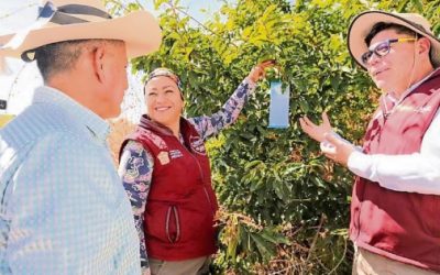 Edomex reporta 27 casos confirmados de gusano barrenador; se mantienen activas 20 brigadas con 40 médicos