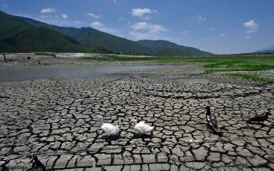 Crisis hídrica y lecciones para México