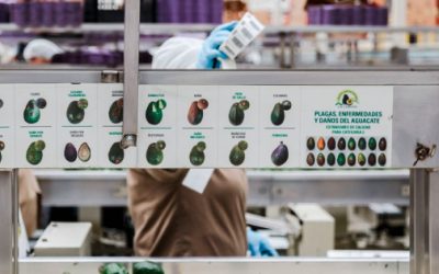 Pega tipo de cambio a agroexportaciones