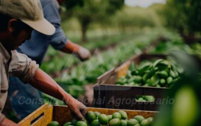 El sector agroalimentario en el crecimiento de México