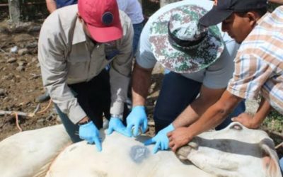 Activan en SLP cerco sanitario