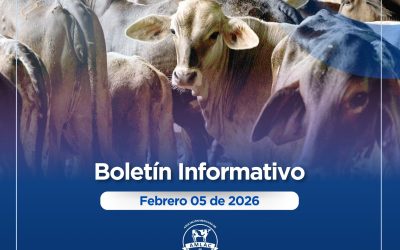 Nota informativa 05 de febrero de 2026