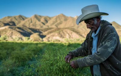 La entrega de agua afecta a agricultores mexicanos