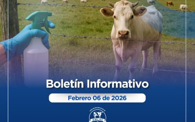 Nota informativa 06 de febrero de 2026