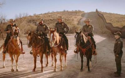 Cruces migratorios registran menor cifra en 55 años