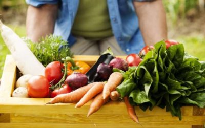 CNA celebra la labor de los productores y las acciones sanitarias que impulsan las exportaciones mexicanas