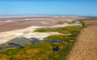 Cuando el agua une: la diplomacia entre EU y México que está reviviendo el río