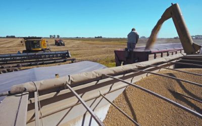 Soya repunta tras comentarios de Trump sobre compras de China