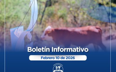 Nota informativa 10 de febrero de 2026