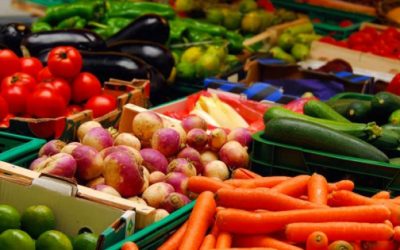 Registra la balanza agroalimentaria de México su peor año en una década