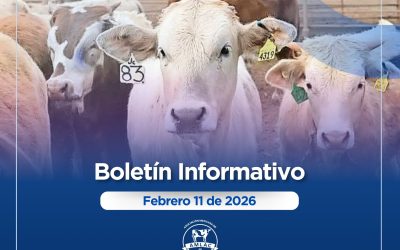 Nota informativa 11 de febrero de 2026