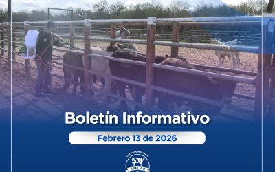Nota informativa 13 de febrero de 2026