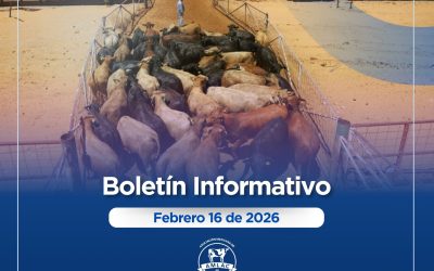 Nota informativa 16 de febrero de 2026