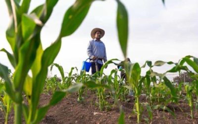 Agricultores critican baja productividad agrícola y dependencia de importaciones