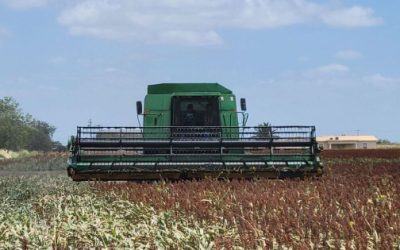 Agricultores en Tamaulipas amagan con retomar bloqueos
