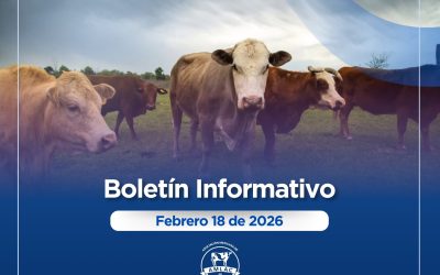 Nota informativa 18 de febrero de 2026