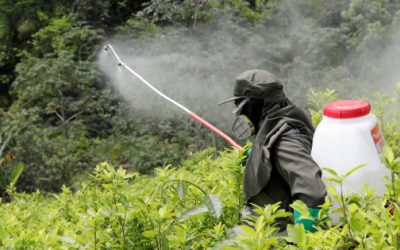 La Casa Blanca anuncia apoyo a la producción del glifosato