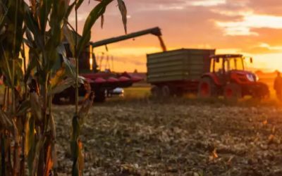 Bayer fortalece el cultivo de maíz en México con innovación y sostenibilidad