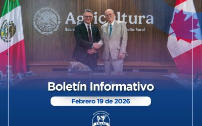 Nota informativa 19 de febrero de 2026