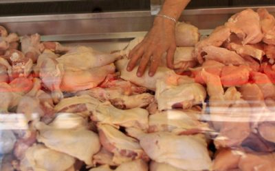 Secretaría de Economía evalúa restringir importaciones de pollo