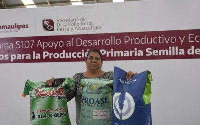 Productores podrán acceder a apoyos de semilla para cultivos