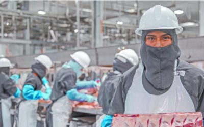 Crecen 10% envíos de carne procesada a EU en 2025