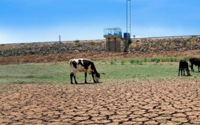 Zona rural en alerta por sequía