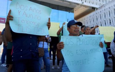Exigen en Campeche frenar daño ambiental