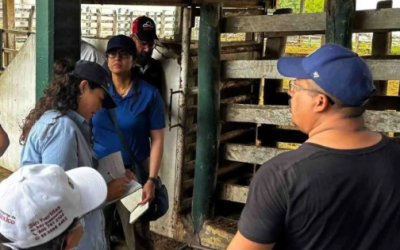 Aumento de casos de gusano barrenador en San Luis Potosí y zonas colindantes