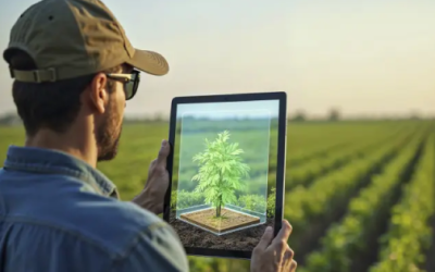 Llaman a replantear modelo agrícola en frontera México EU