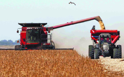 Cereales a la baja, mercado deja de lado el conflicto