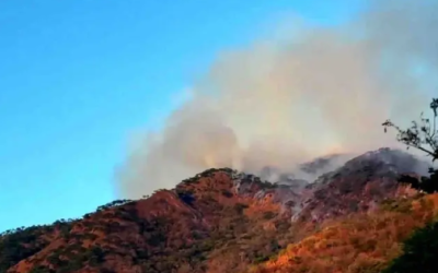 Dañan incendios 867 hectáreas