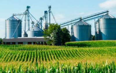 El escenario mundial en el sector agroalimentario ahora es de supervivencia