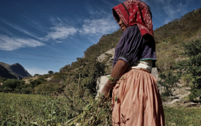 Jalisco impulsa el fortalecimiento de las mujeres rurales
