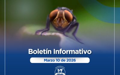 Nota informativa 10 de marzo de 2026