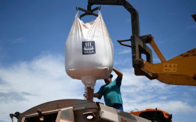 Causa guerra crisis con los fertilizantes