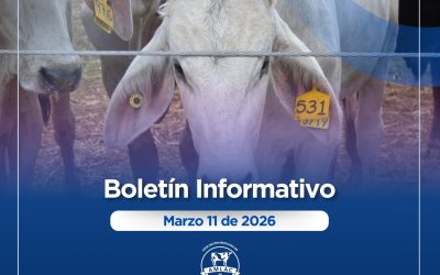 Nota informativa 11 de marzo de 2026