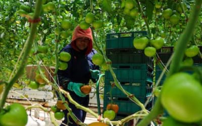 Innovación tecnológica en el campo con Green Tech Americas